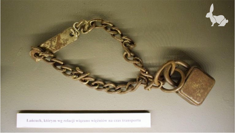 Łańcuch, którymi krępowano ręce